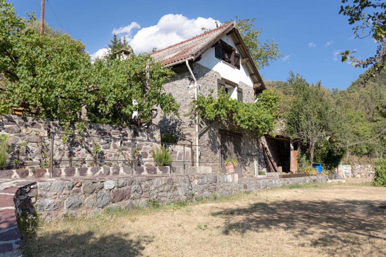 La Petite Chataigne Valdeblore Exterior foto
